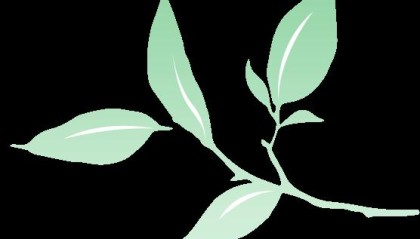 粤北生态之城的振兴之路