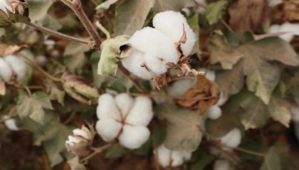 中国梦·大国工匠篇｜练文明：“种”出来的劳模工匠