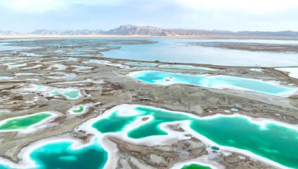 万吨锂盐危废非法掩埋曝光，亿纬锂能、硕贝德卷入