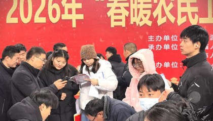 全国联动保障农民工高质量充分就业