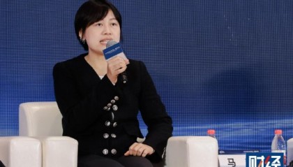 如何挤压AI行业泡沫？蚂蚁集团马静建议：提高资产利用率，稳扎稳打寻找真实需求