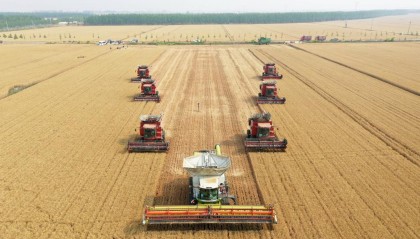 好评中国丨打赢“三夏”攻坚战护航全年新“丰”景