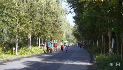 【人民城市·温情中国】边疆“绣”绿洲文“润”细无声