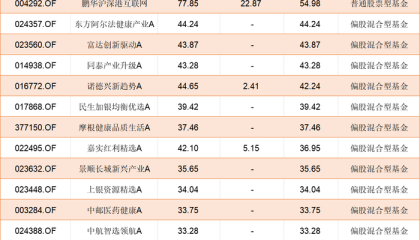 转战港股，二季度超六成主动权益基金选择加仓|基金放大镜
