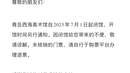 “昙花一现”是民营美术馆的宿命吗？