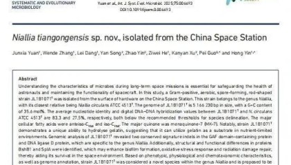 首次公布！中国空间站内发现微生物新物种