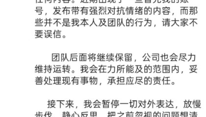 陈震发文称停更反思，因偷税追缴并罚款超247万元
