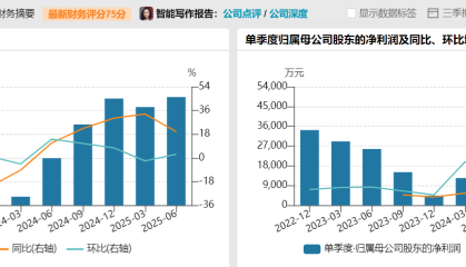 财说| 高增长叙事还能讲多久？锦江航运运力扩张存隐忧