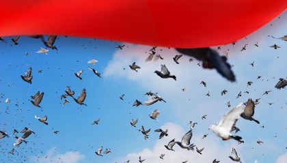 砥柱中流领航复兴——中国人民抗日战争暨世界反法西斯战争胜利80周年纪念活动启示录（六）