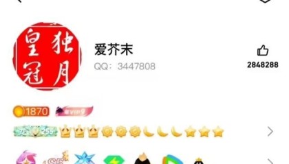 全球首个满级QQ即将诞生