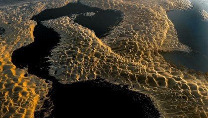 生态输水绘奇观：塔克拉玛干沙漠“飞”出金凤凰