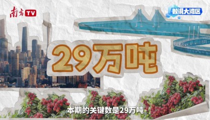 大湾区年产29万吨背后的给“荔”科技|数说大湾区