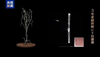 三星堆公布重大发现！专家：种种迹象表明，三星堆可能爆发过内战