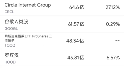 6月6日美股成交额前20：稳定币第一股Circle上市后连续两日大涨