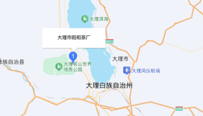 大理走失男童已离世，初步排除刑事案件可能