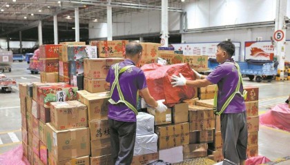 深圳机场开通“荔枝专线”24小时内从枝头到舌尖