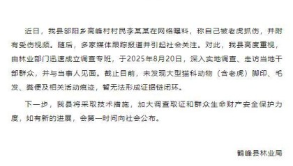 有村民被老虎抓伤？湖北鹤峰县：暂未发现大型猫科动物活动痕迹