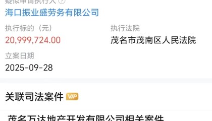 万达地产等被恢复执行2099万，限制消费令高达128条