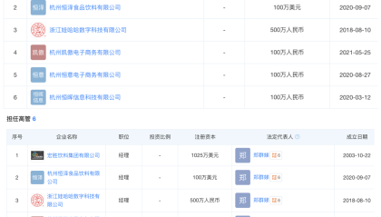 宏胜集团法定代表人变更为另一“老将”郑群娣，曾任职于娃哈哈童装