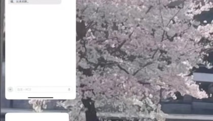 全员收到离职通知短信？携程内部人士：系操作失误