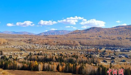 （走进中国乡村）游客变创客新疆老村“圈粉”年轻人