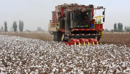 多国议员在新疆见证现代化发展与多元文化交汇