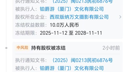 铂爵旅拍旗下公司被冻结110万股权，此前已被执行1.75亿元