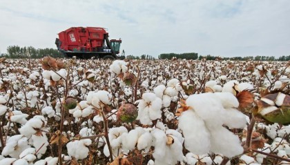 奋进的新疆·我们的“十四五”丨实力跃升新高度