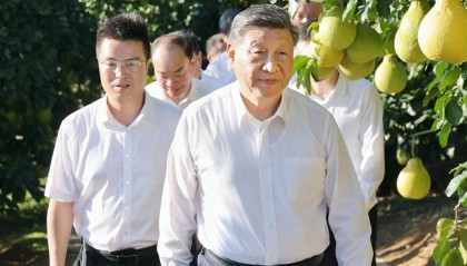 一见·柚子里的“三农”情怀