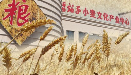 “见证新疆70年”系列微纪录片丨腰站子村硬了腰杆子