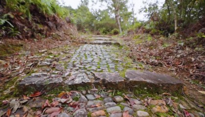 跟“史上最强旅游搭子”一起出发