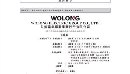 主业增速放缓、新业务占比不足3%，卧龙电驱赴港“补血”