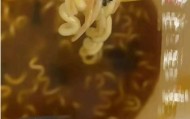 今麦郎方便面被指吃出虫卵，公司回应：正在跟进