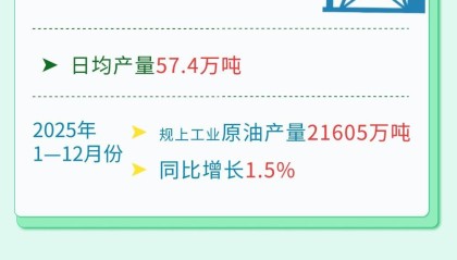 【图解】2025年能源数据出炉：天然气生产同比增长6.2%